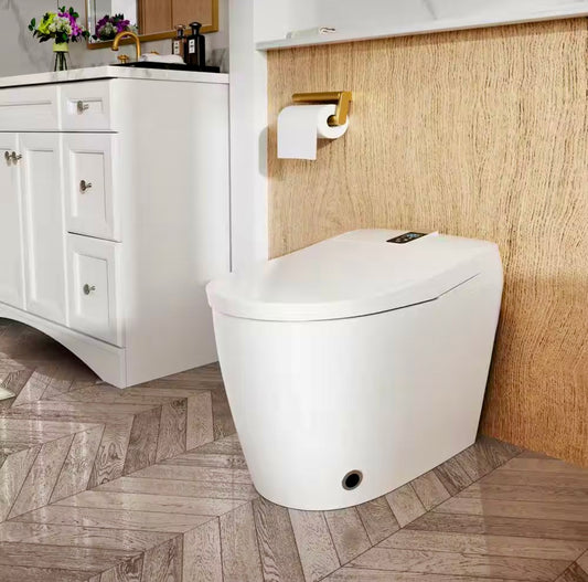 Elongated bidet toilet