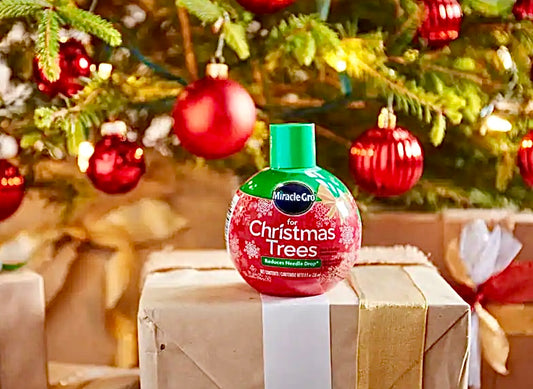 8oz christmas tree miracle gro