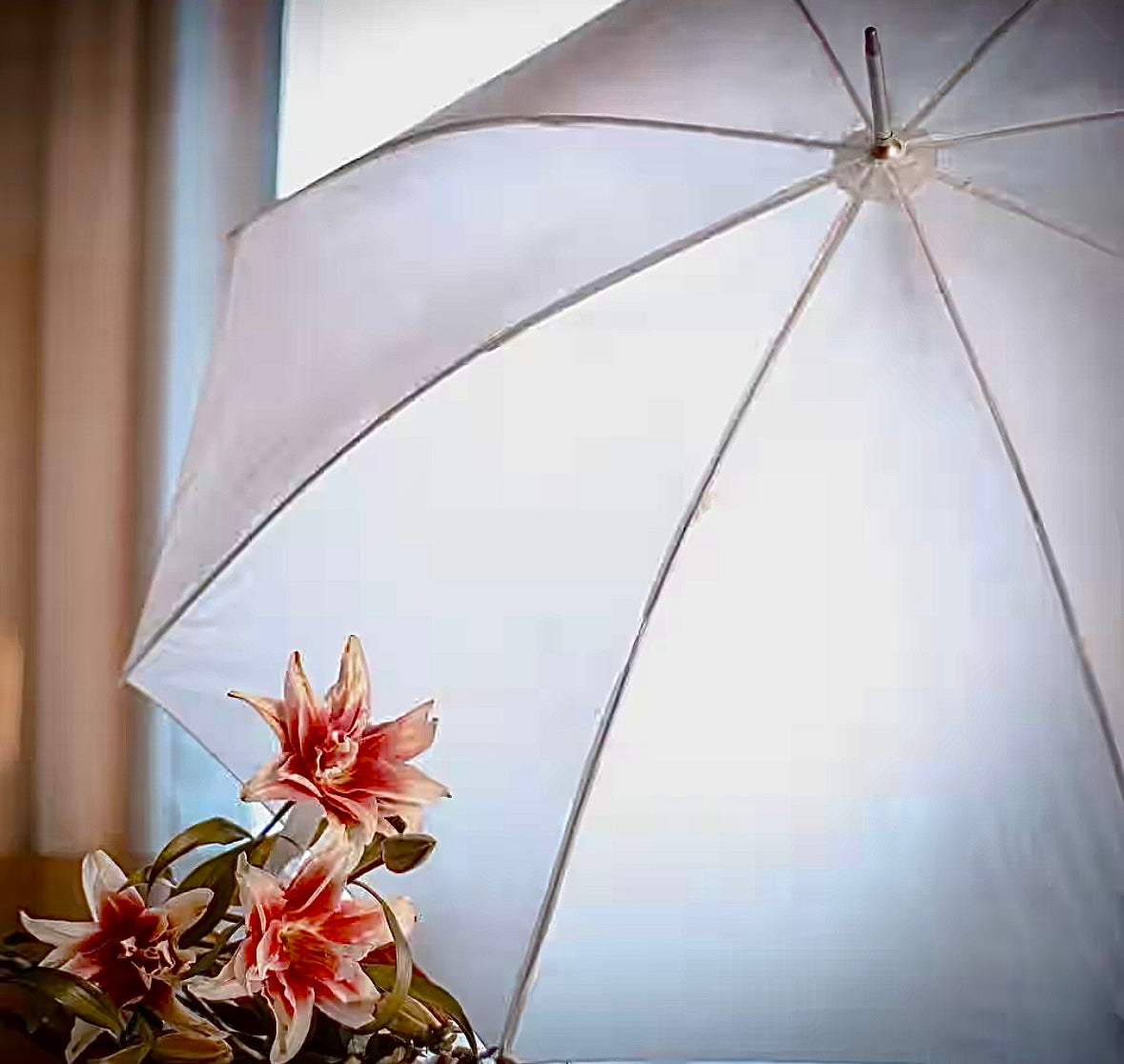 48 in. Wedding umbrella (10 pack)