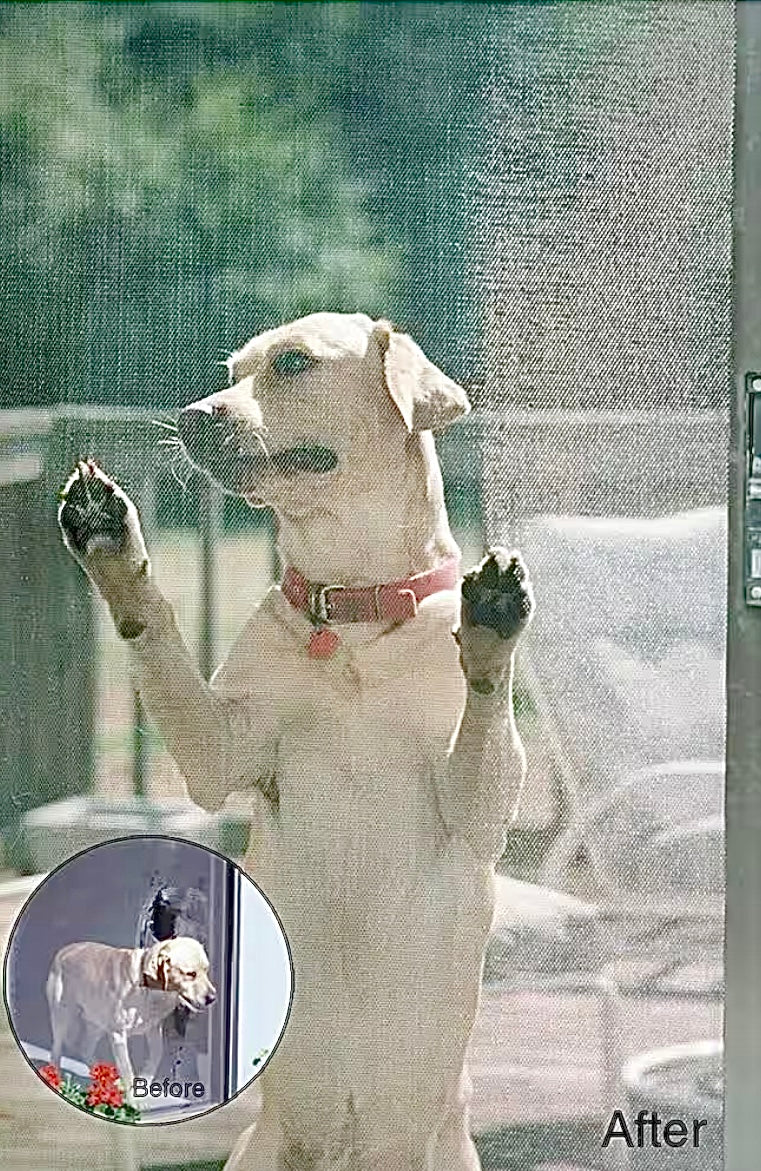 36"x84" Black pet screen kit