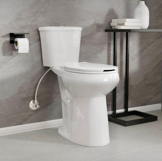 21" 2-piece tall toilet elongated in white