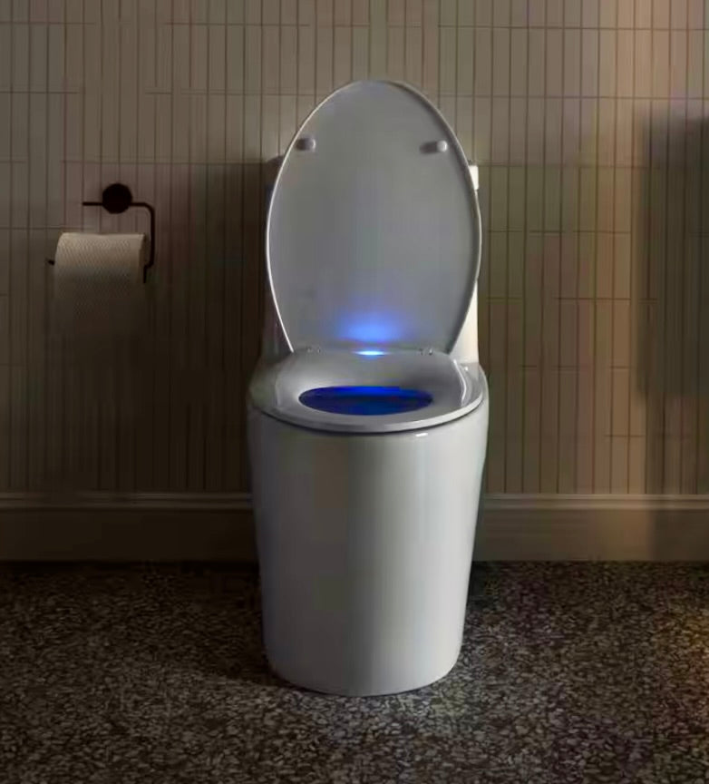Lumiere elongated toilet seat
