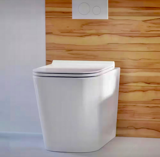 Concorde back to wall elongated toilet bowl